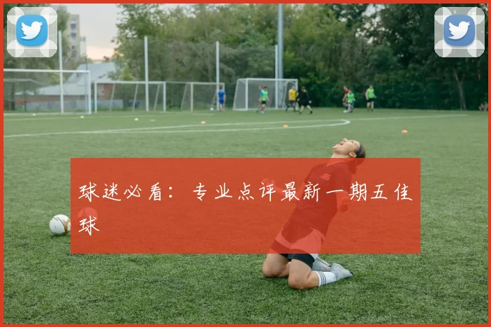 球迷必看：专业点评最新一期五佳球