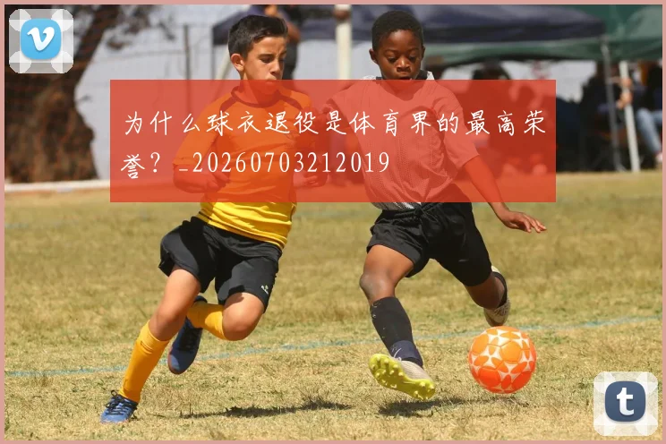 为什么球衣退役是体育界的最高荣誉？_20260703212019